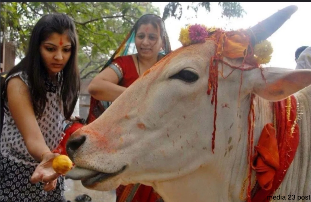 आज २०७८ साल वैशाख १९ गते आइतबारको राशिफल हेर्नुहोस्