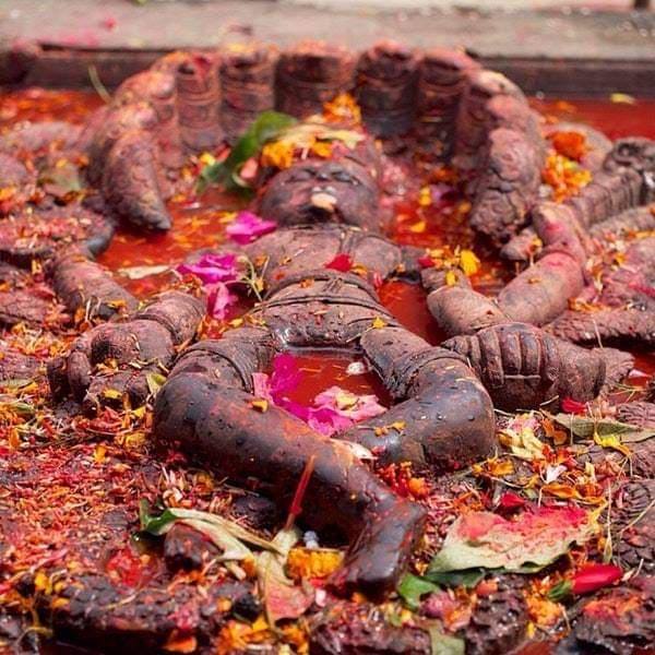 बुढानिलकण्ठको  दर्शन गर्दै  बैशाख ३१ गते शुक्रबारको  राशिफल हेर्नुहोस् ॐ लेखि एक सेयर गर्नुहोस काम बन्ने छ