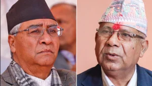 एक्लै चुनाव लड्ने कुरा गर्दा खुट्टा कमाउने माधव नेपालको आखै अगाडी कांग्रेस एक्लै निर्वाचनमा जाँदा कति सिट जित्ने, निस्कियो यस्तो हिसाब !